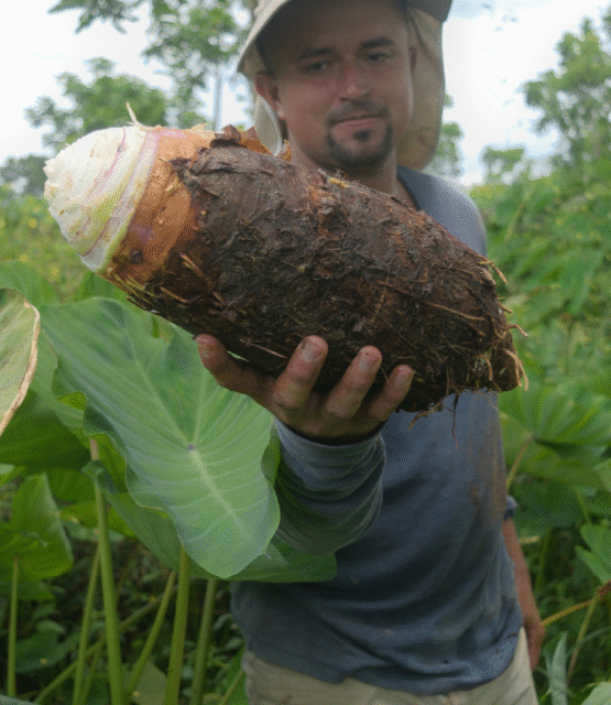 {{brizy_dc_image_alt imageSrc=